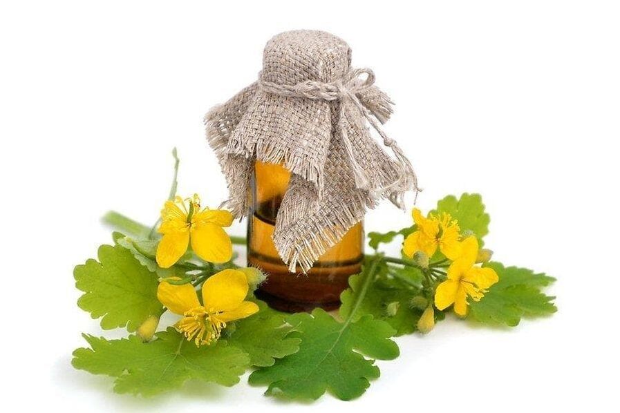 Celandine in products